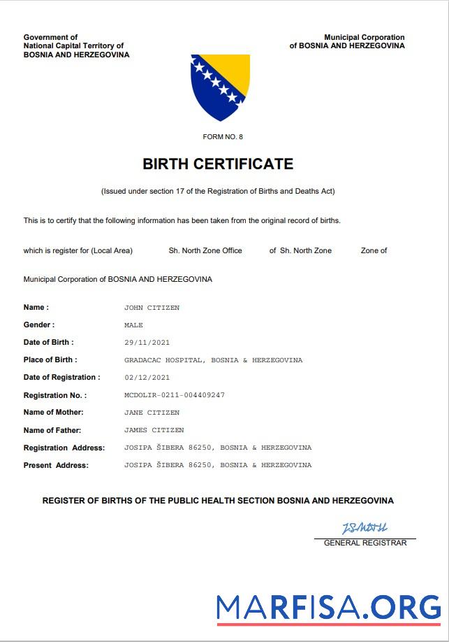Blank Bosnia and Herzegovina vital record birth certificate Word and PDF template